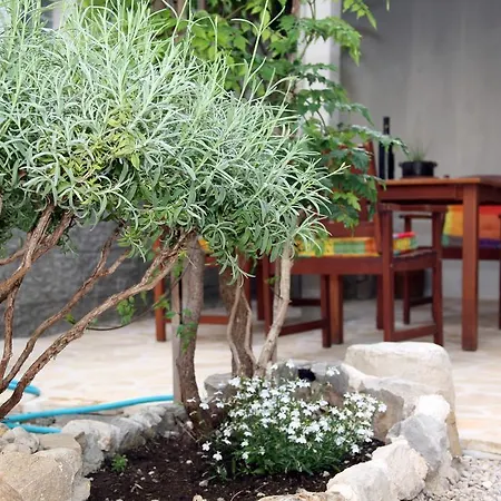 Apartment House Marjan *